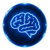 BRAIN FUNCTION