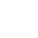 Supports Lean Muscle Growth