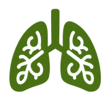 Better Oxygen Delivery