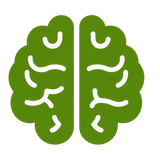 BRAIN FUNCTION