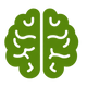 Brain Function